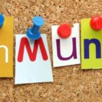 Some thoughts on the idea of true community | Shaun Cameron